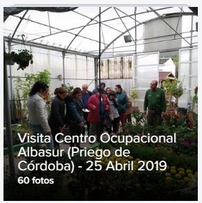 Personas visitando el invernadero de Albasur (Priego de Córdoba)
